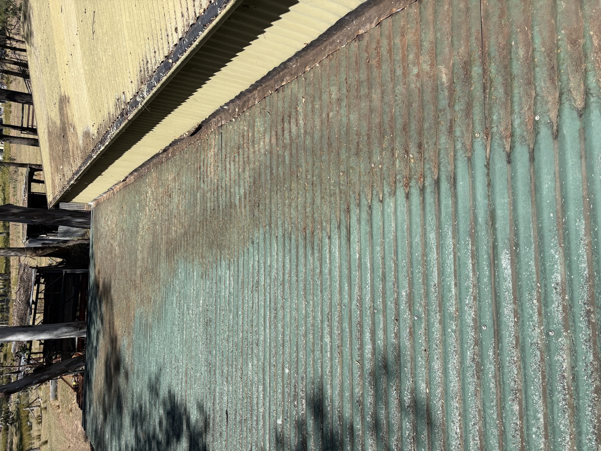 After gutter cleaning - Hawkesbury