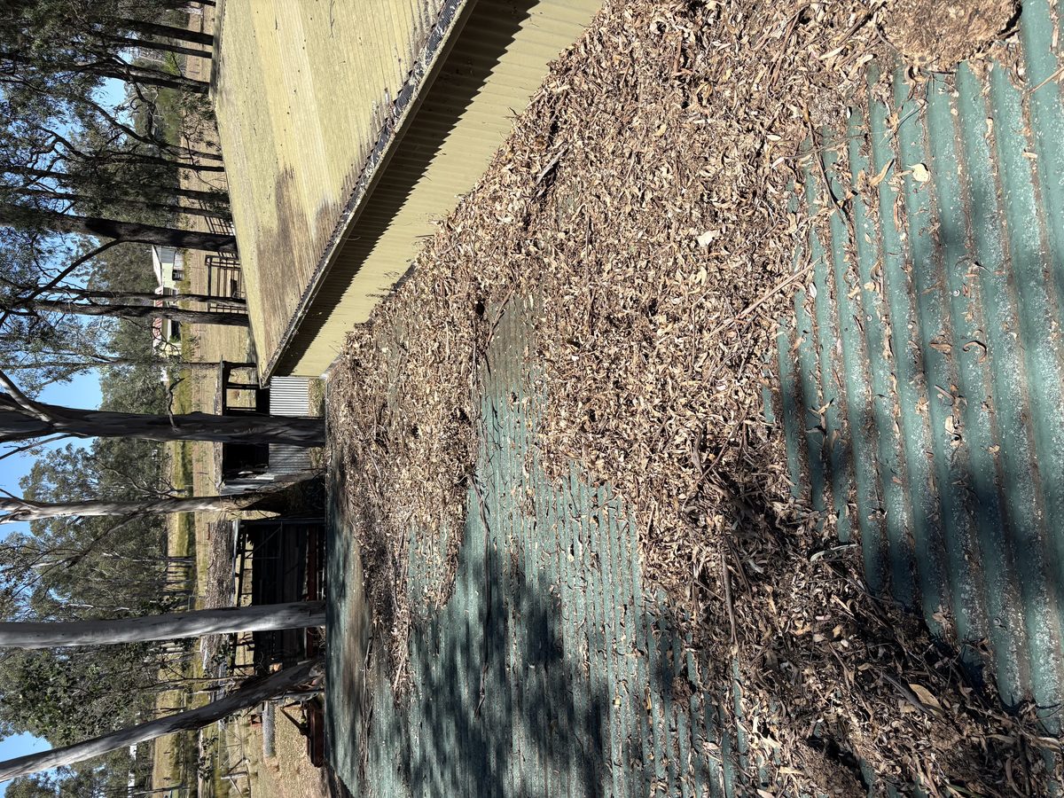Before gutter cleaning - Hawkesbury